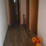 Boki شقة